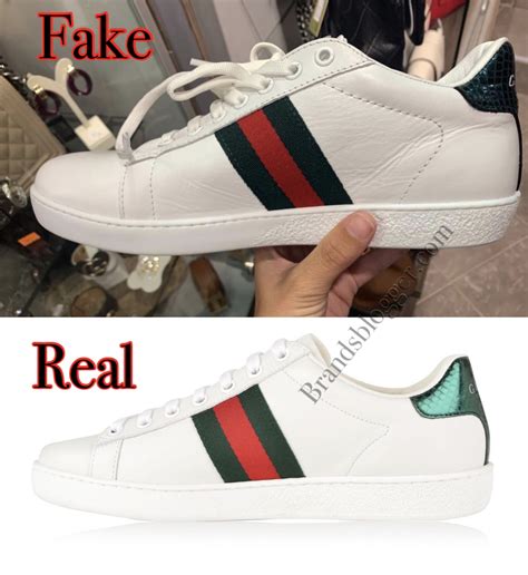 fake gucci school shoes|knock off gucci tennis shoes.